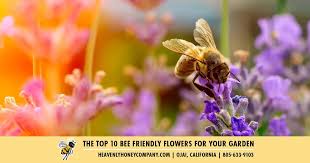 10 Bee Friendly Flowers For Your Garden