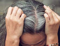 what causes grey hair at a young age