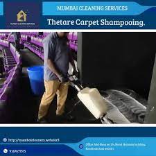 professional carpet cleaning shoo