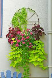Hanging Plants Container Gardening
