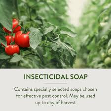 insecticidal soap insect 32 oz