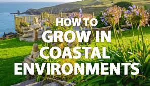 how to grow in coastal environments