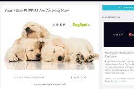 But our favorite perk by far, is their puppies on demand promotion benefiting local shelters. Uber Turns On Charm Offensive With Uberpuppies In Delhi