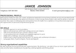 High Profile Resume Template In On For Gallery Of Doc Example