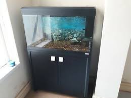 Maybe you would like to learn more about one of these? Fluval Roma 125 Cabinet Entrancenetwork Com