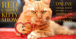 red carpet virtual kitty show visit