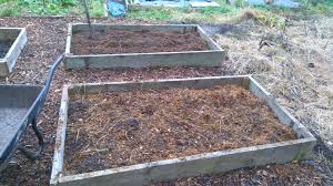 how to manure your plot for winter