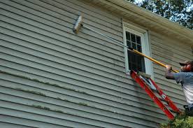 siding maintenance