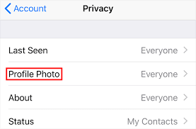 I tried to change my picture in whatsapp, but no gallery app is showing up to select existing picture. Whatsapp Here S How To Change Who Can See Your Profile Photo