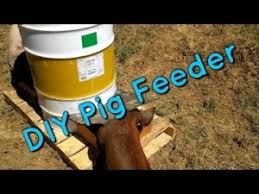 feeders for pigs oho