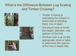 How Much Lumber Is On This Log Deck Ppt Download