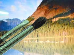 vega professional makeup brushes pb08
