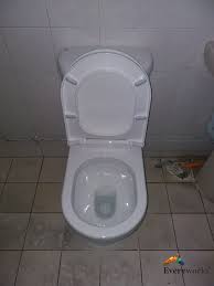 Toilet Bowl Replacement Plumber