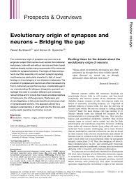 pdf evolutionary origin of synapses