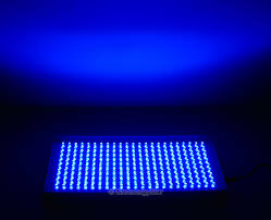 16w 230pcs Blue Led Grow Light Panel 100v 240v 50 60hz Ac Adaptor Greenergystar