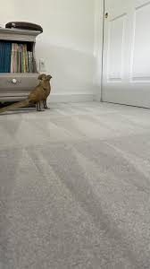 elite carpet cleaning pro clinton