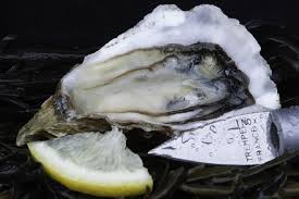 everything is in the oyster