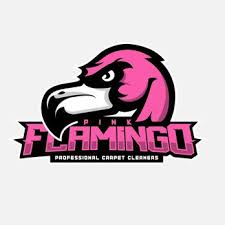 pink flamingo carpet cleaning closed