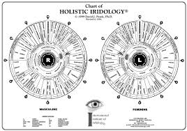 Iridology Health Assessment Aaron Ander Rohp In Nelson Bc