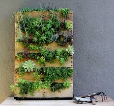 How to grow a vertical garden. 15 Brilliant Diy Vertical Indoor Garden Ideas To Help You Create More Space For Growing Plants Balcony Garden Web