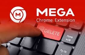 Image result for Remove Mega Account