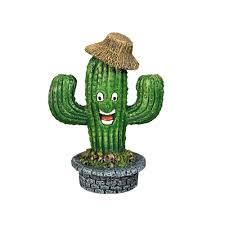 Můžu si ke kaktusu přenést číslo? Kaktus Mit Gesicht Von Nobby Gunstig Bestellen Tiierisch De