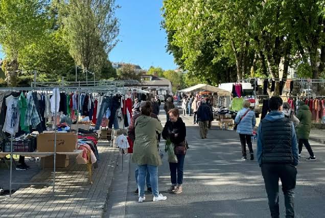 Mercadillo de Frigsa