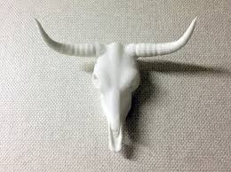 White Longhorn Skull Hqhjhgvsw By