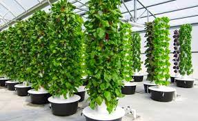 how does an aeroponics tower work