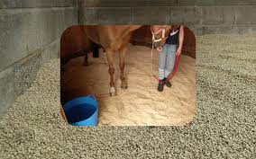 pine pellets horse bedding up to