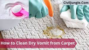 clean dried cat vomit carpet