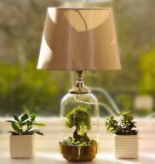 Hobbit Table Lamp Glass Cloche Lamp