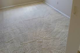 5 best carpet cleaning service in san