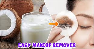 best makeup removers available in india