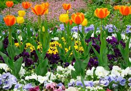 Make Your Backyard A Flower Garden 5