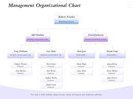management organizational chart
