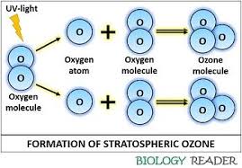 ozone formation definition