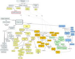 Concept Map Integumentary If You Need Help Turning