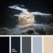 black and gray color palette ideas
