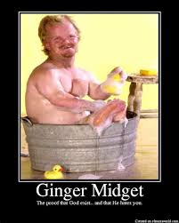 At memesmonkey.com find thousands of memes categorized into thousands of categories. Midget Birthday Memes