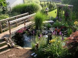 Design A Water Garden