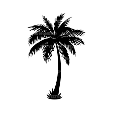 Palm Tree Svg Vector Cut File For