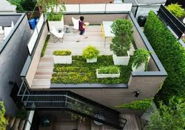 Gardens In Rooftop Terraces