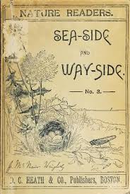 Download side by side 1 sb.pdf comments. File Nature Readers Sea Side And Way Side Ia Cu31924000015598 Pdf Wikimedia Commons