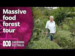 Food Forest With Over 300 Edible Plants