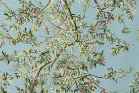 Ramo di ulivo, olive verdi con foglie isolato su sfondo bianco con tracciato di ritaglio. Ak1052 Ulivo 001 Azzurro Ch Brochier Ulivo Tessuti