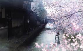 anime sakura trees hd wallpapers