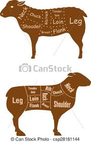 Lamb Or Mutton Butcher Cuts Detailed Diagram