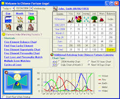Chinese Astrology Fortune Angel Software Welcome Main Menu