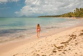 List of famous people from martinique, including photos when available. Vilebrequin New Destinations A Series Of Spectacular Beaches Martinique Is A Paradise With A Thousand Beaches